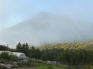 IMG_6467.jpg