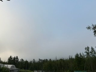 IMG_6468.jpg