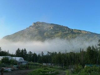 IMG_6470.jpg