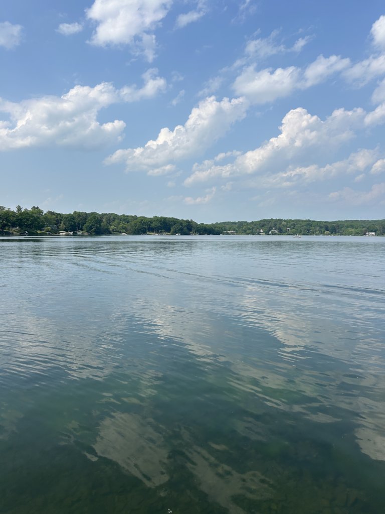 IMG_6492.jpg