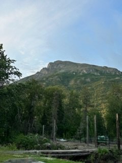 IMG_6497.jpg