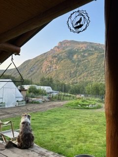 IMG_6510.jpg