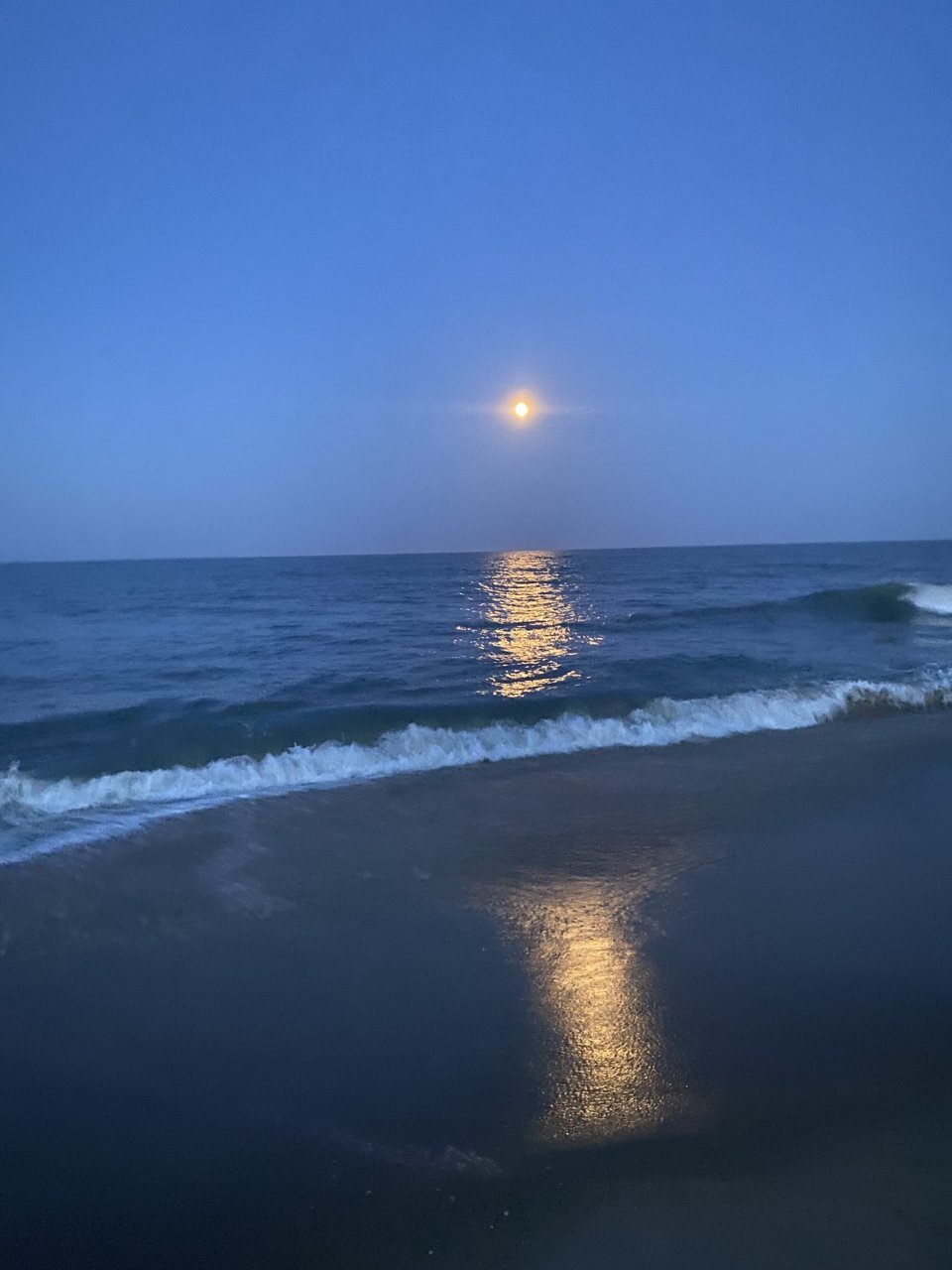 IMG_6564.jpg