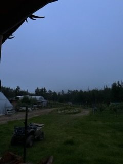 IMG_6589.jpg
