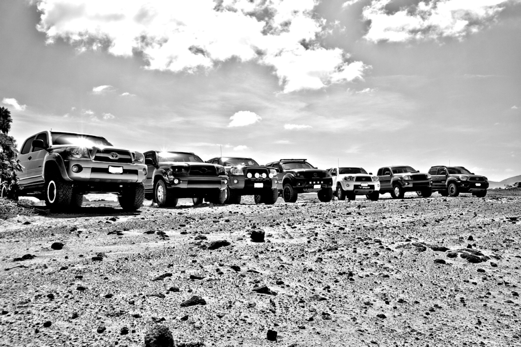 IMG_6589_8_90_Detail_5e2b6dee86eb76279c1740686efaa887072b0d1a.png