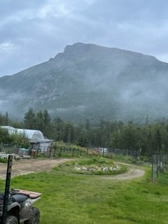 IMG_6590.jpg