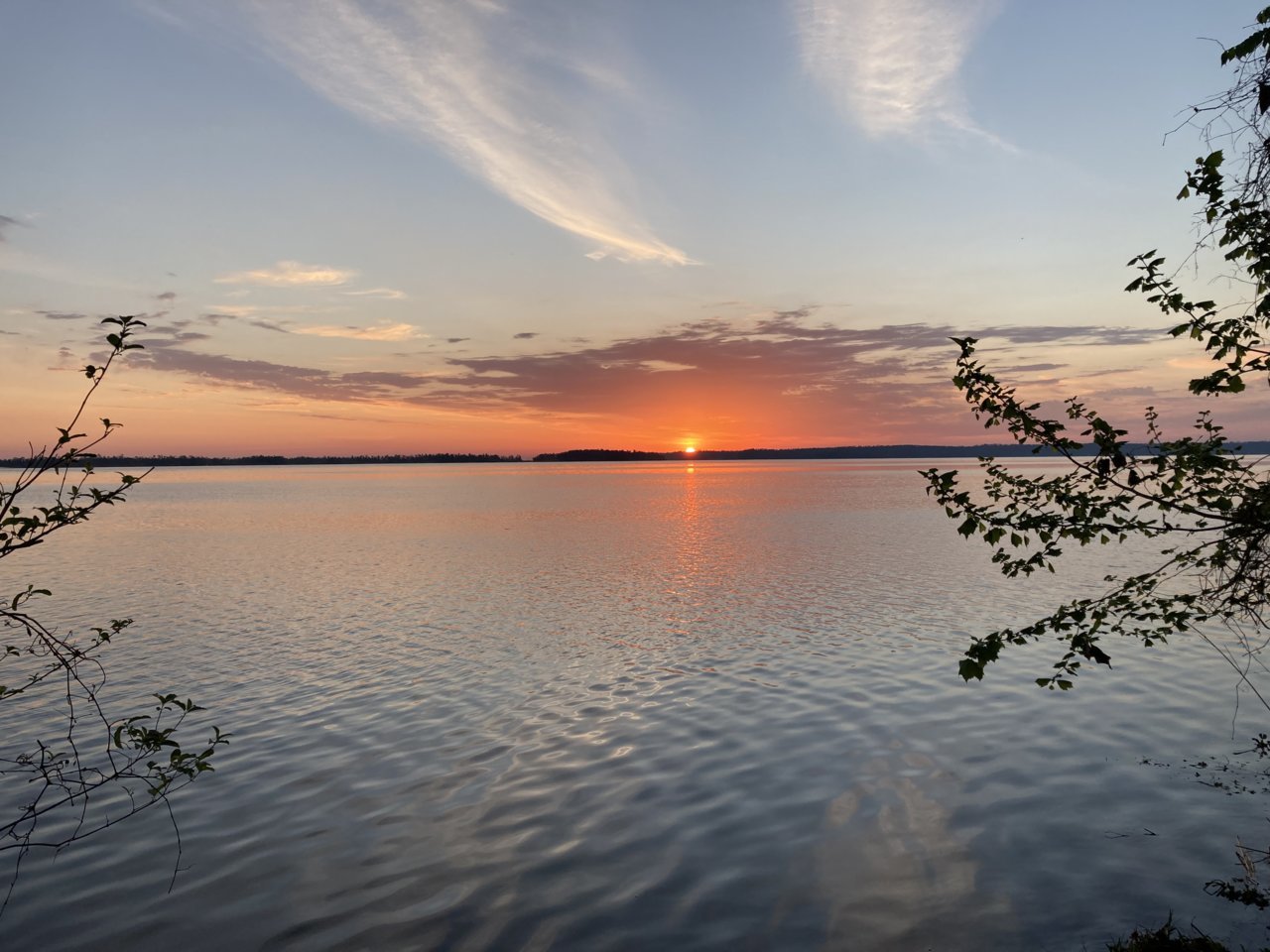 IMG_6606.jpg