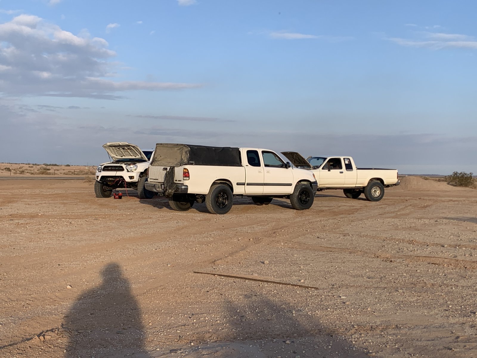 IMG_6617.jpg