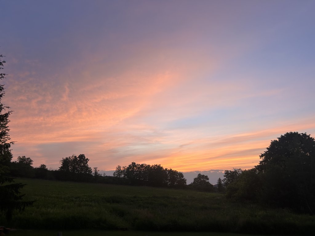 IMG_6633.jpg
