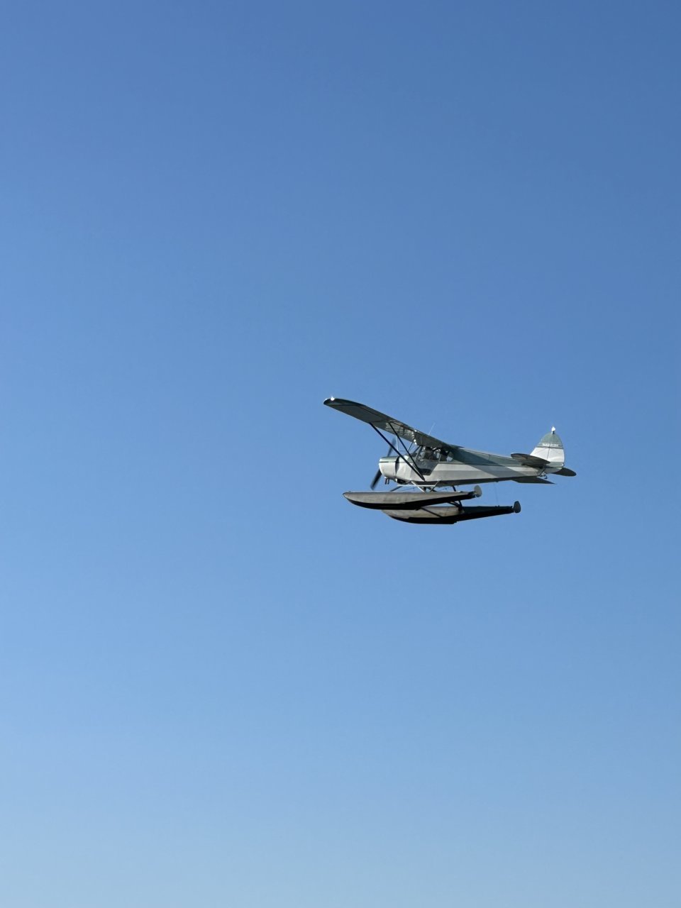 IMG_6642.jpg