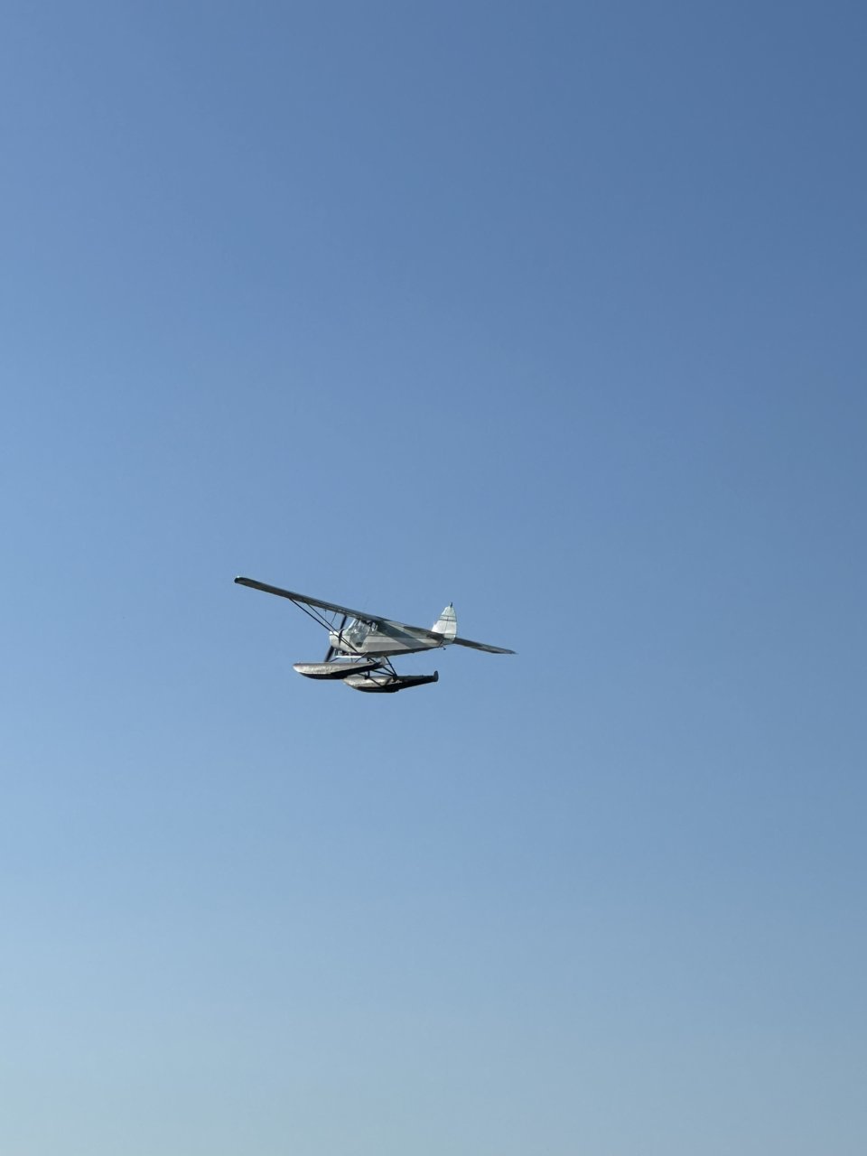 IMG_6645.jpg