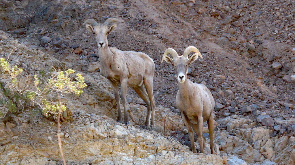IMG_6684.jpg