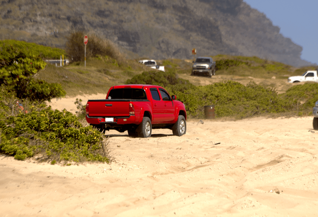 IMG_6685_4_6_Detail_6ae72905d7f9b9c646af5f592ec8352aa1042ef1.png