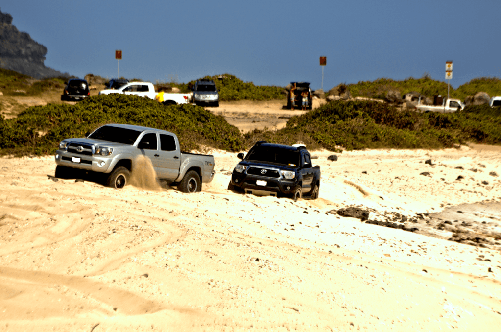 IMG_6697_6_8_Detail_dcffaf1471b69085f5a1e2d08b048c2072ac3f18.png