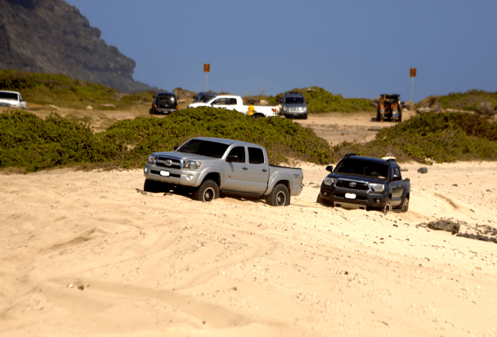 IMG_6700_699_1_Detail_db3551dda30472ff1c997e8f5ddf6e96ebe65b80.png