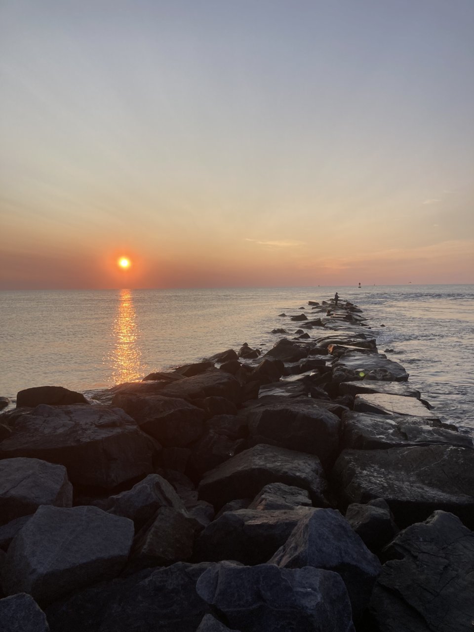 IMG_6720.jpg