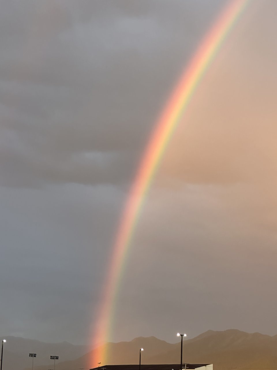IMG_6765.jpg