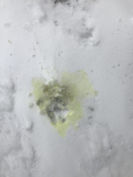 what can i do if i have fluorescent yellow snot - quora on bright yellow fluid leaking from car