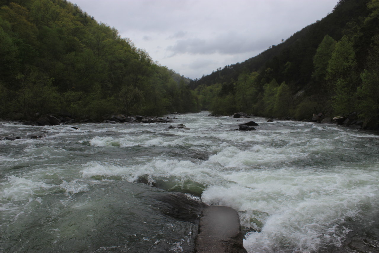 IMG_6780.jpg