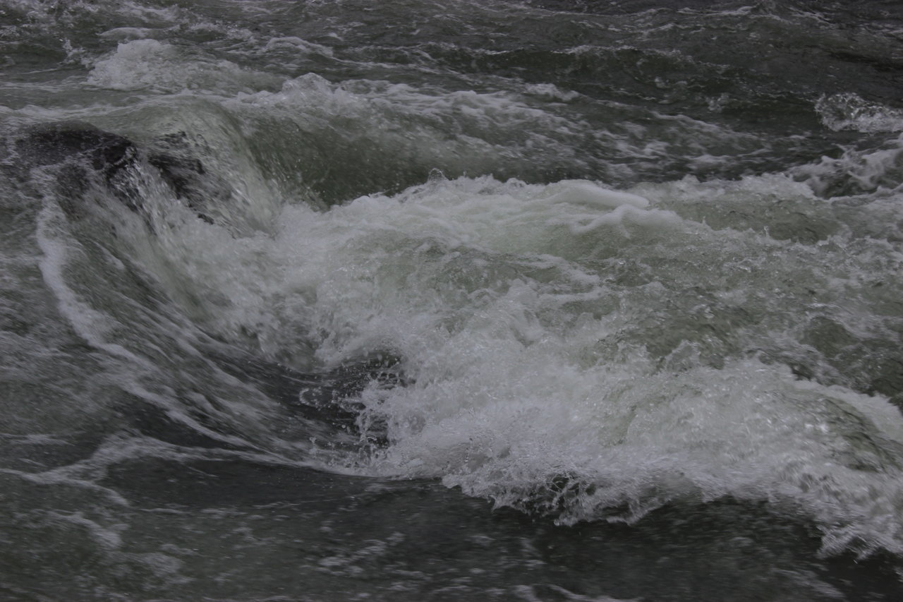 IMG_6785.jpg