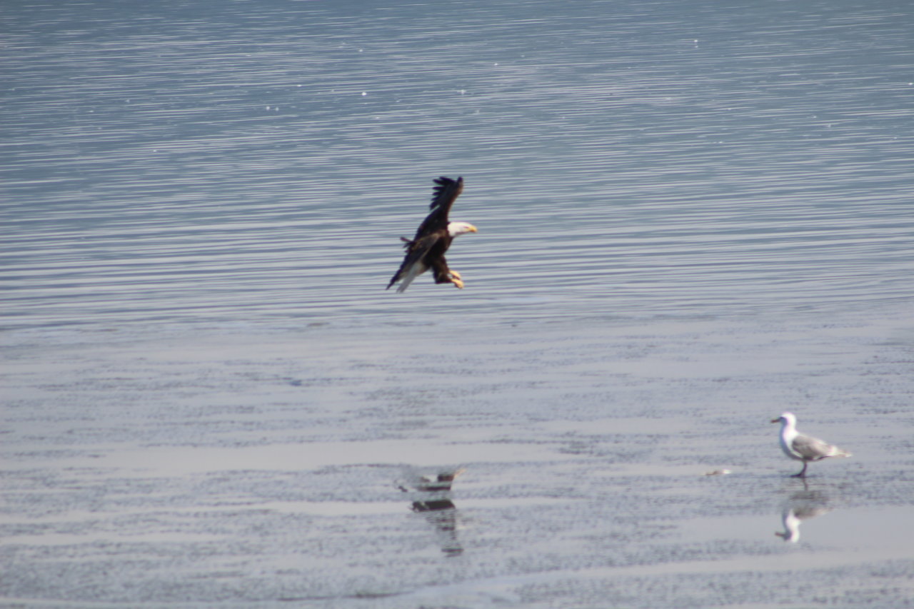 IMG_6796.jpg