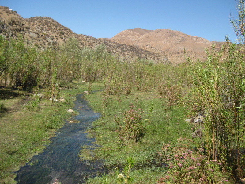 IMG_6800_c77bafad38cfabac11d735fdaa56c4b3d372619e.jpg