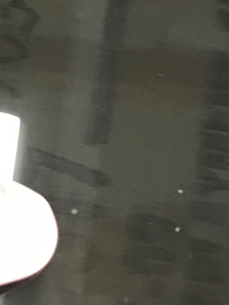 IMG_6905.jpg