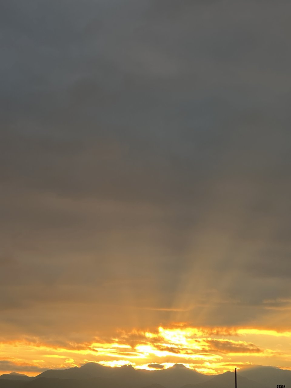 IMG_6928.jpg