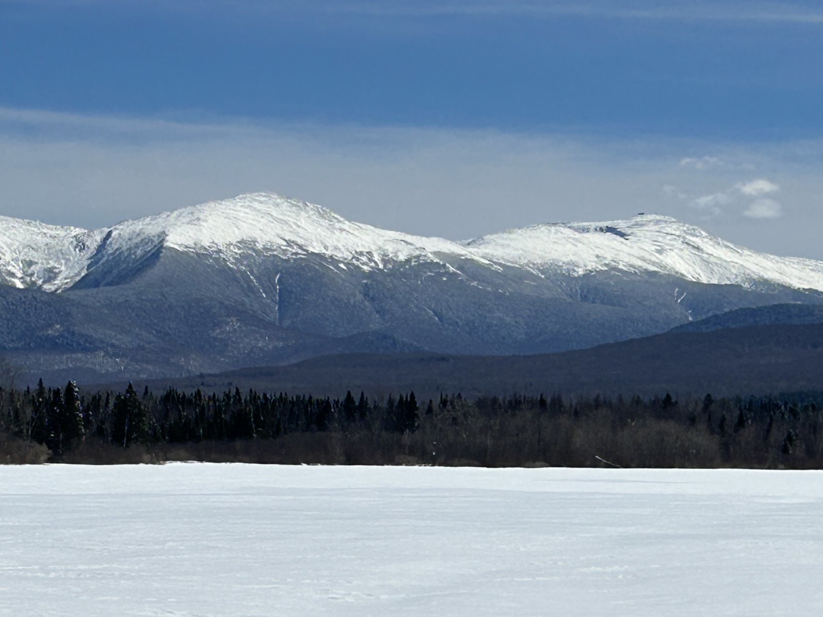 IMG_6931.jpg