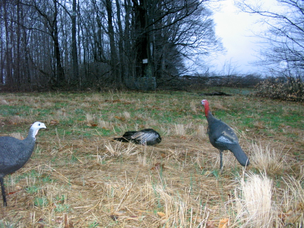 IMG_7015.jpg