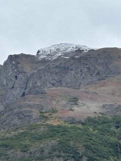 IMG_7041.jpg