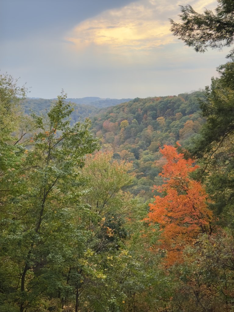 IMG_7046.jpg
