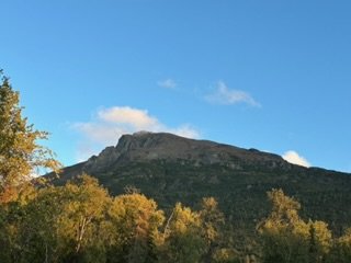 IMG_7092.jpg