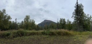IMG_7135.jpg