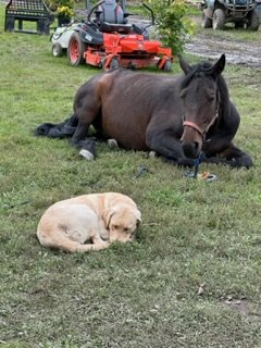 IMG_7138.jpg
