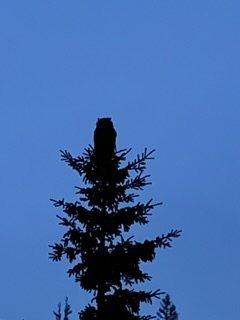 IMG_7157.jpg