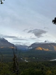 IMG_7168.jpg