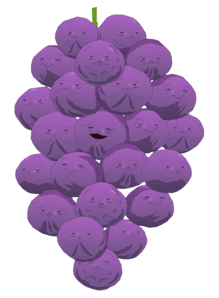 IMG_7212.png