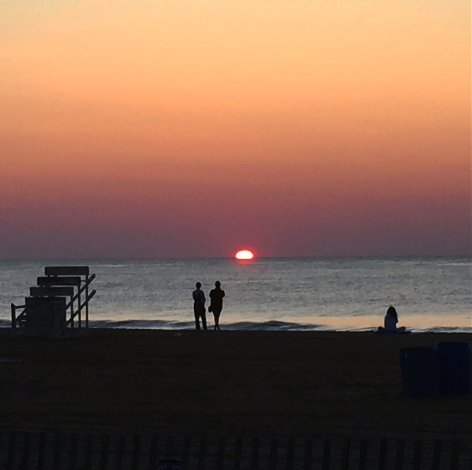 IMG_7307.jpg