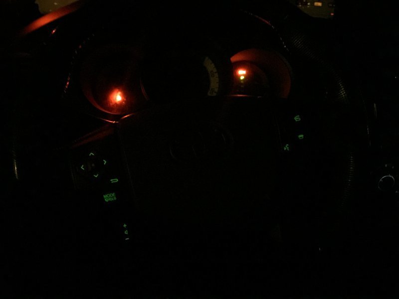 IMG_7318.jpg