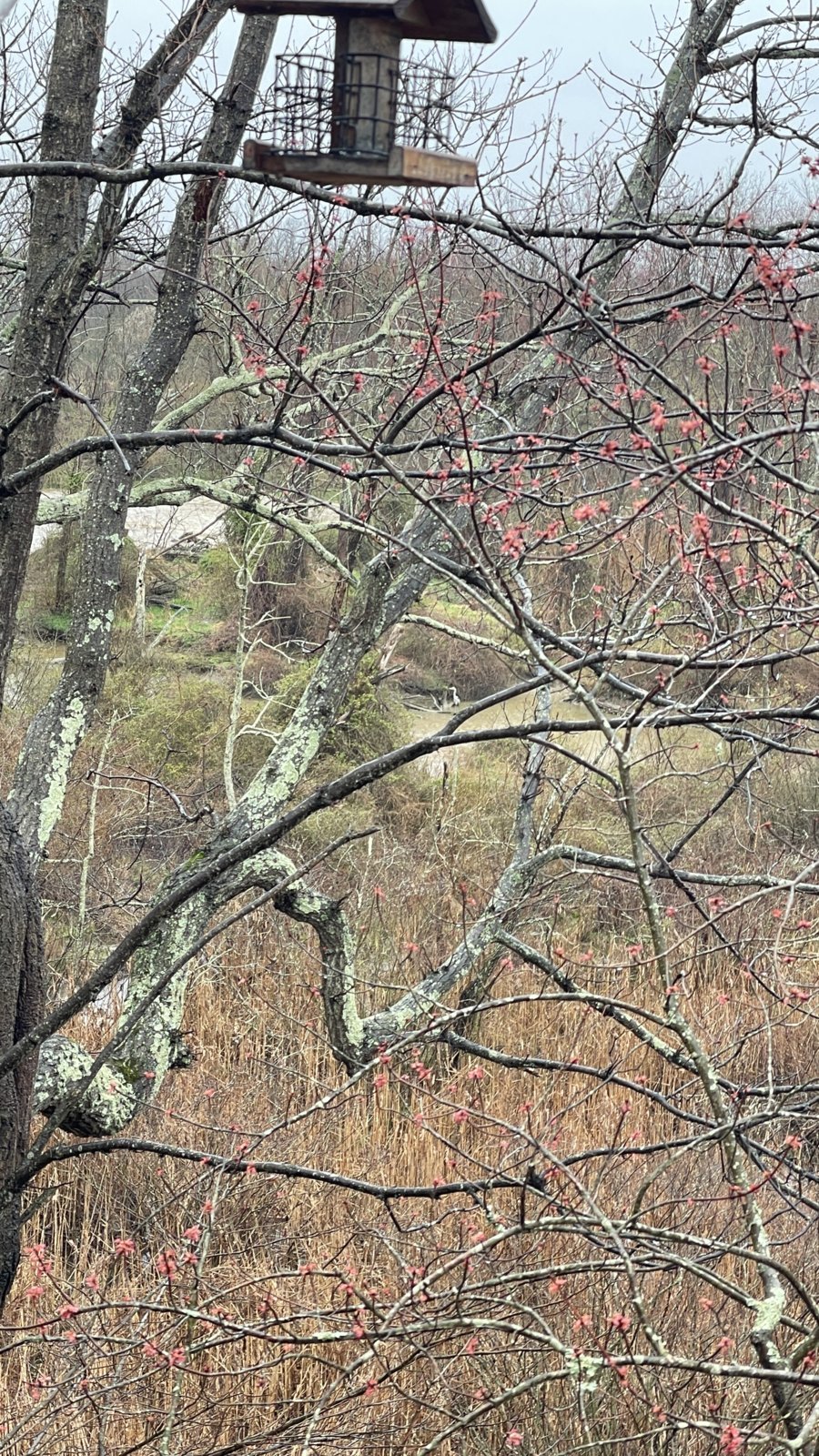 IMG_7323.jpg