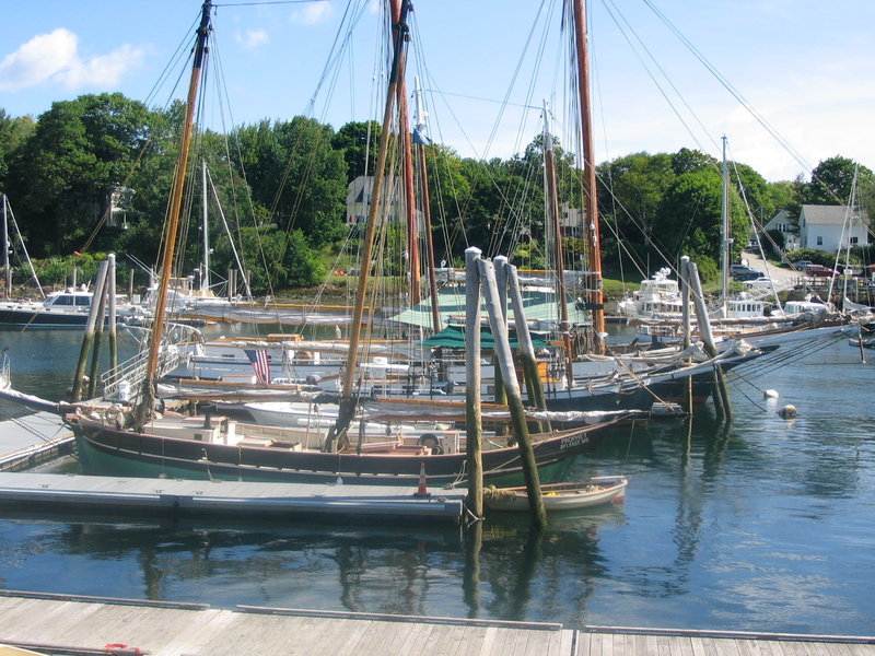 IMG_7329.jpg