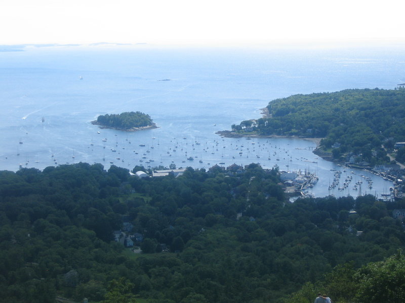 IMG_7331.jpg