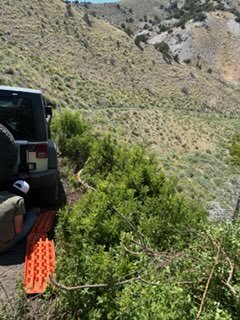 IMG_7351.jpg