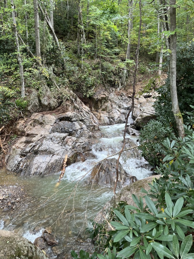 IMG_7382.jpg