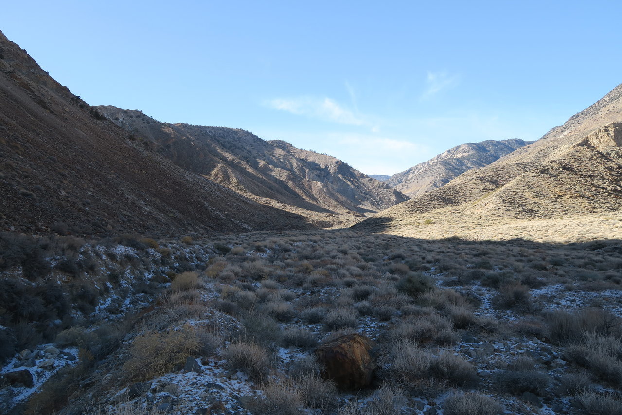 IMG_7451.jpg