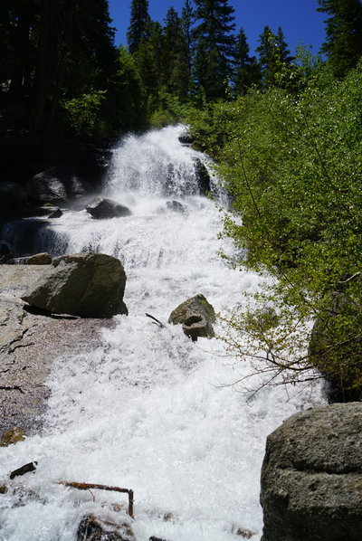 IMG_7464.jpg