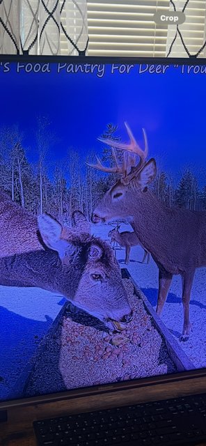 IMG_7479.png