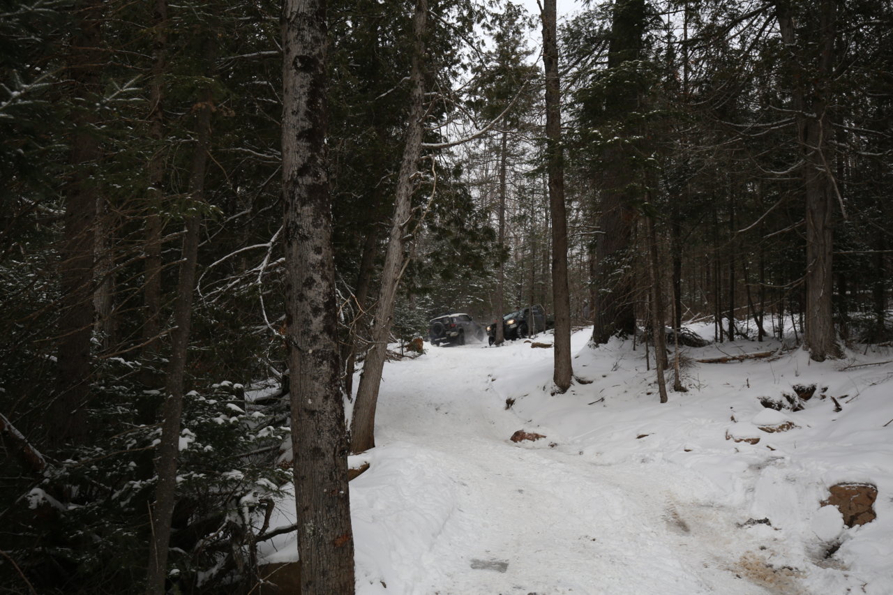IMG_7512.jpg
