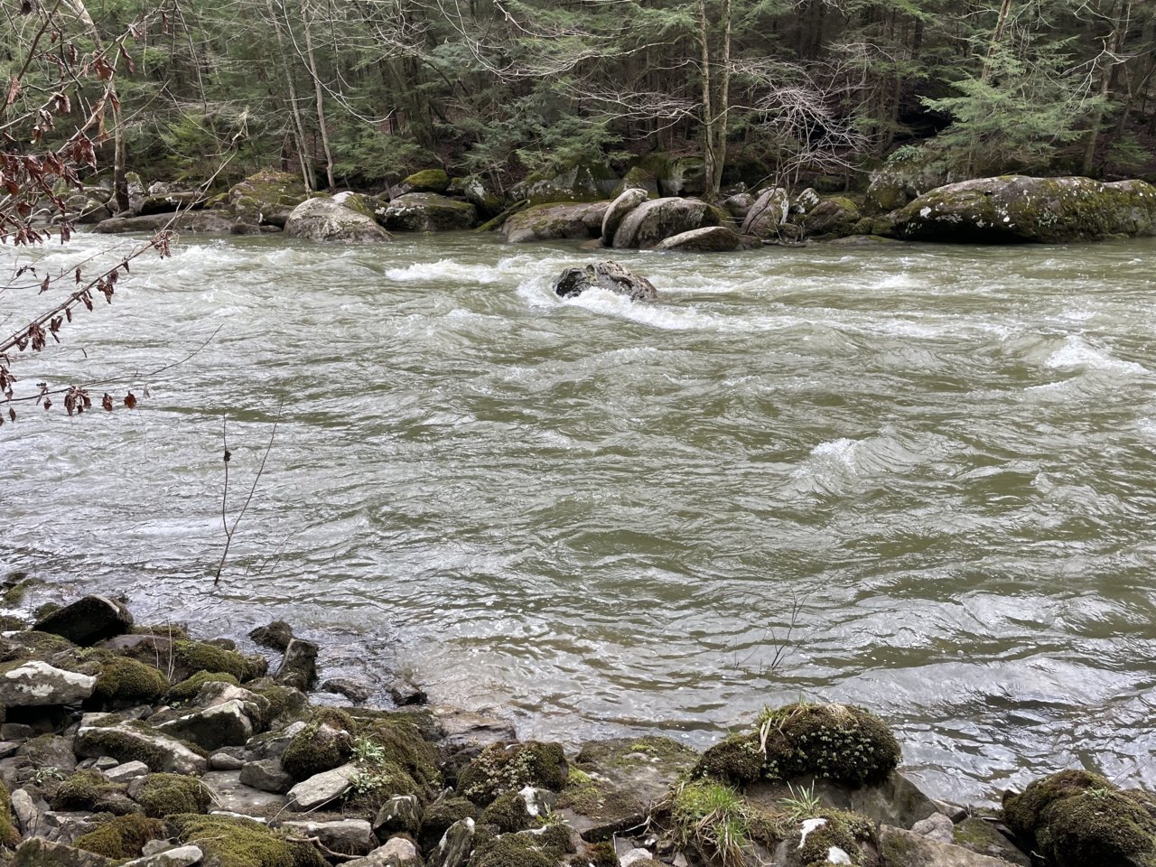 IMG_7526.jpg